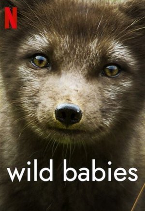 Wild Babies