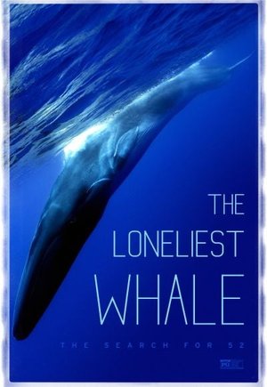 The Loneliest Whale: The Search for 52