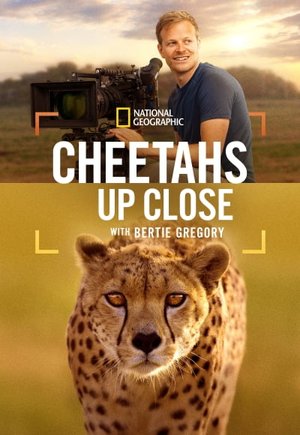 Cheetahs Up Close with Bertie Gregory