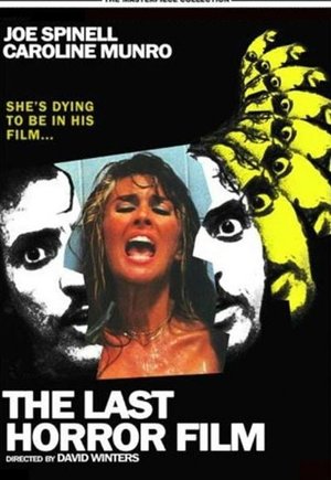 The Last Horror Film