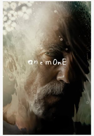 Anemone