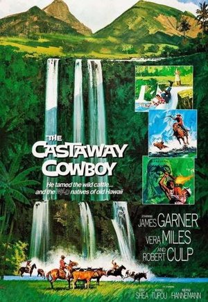 The Castaway Cowboy